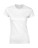 Ladies` Fitted Ring Spun T-Shirt