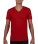 Softstyle V-Neck T-Shirt
