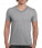 Softstyle V-Neck T-Shirt