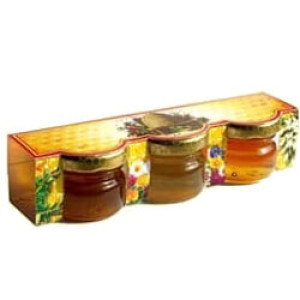 Sušené ovocie (jahody, ananás, brusnice) v mede v kartóniku - Reklamnepredmety