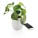 Blumentopf Lautsprecher, weiß - p326.973__b_1 - variant XD4 P326.973
