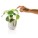 Blumentopf Lautsprecher, weiß - p326.973__b_2 - variant XD4 P326.973