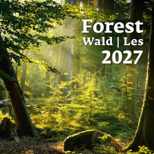 Kalender Wald - Reklamnepredmety