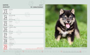 Kalender Welpen - Reklamnepredmety