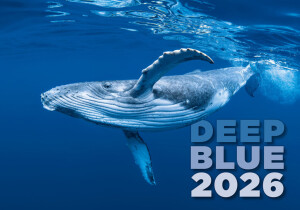 Deep Blue Kalender - Reklamnepredmety
