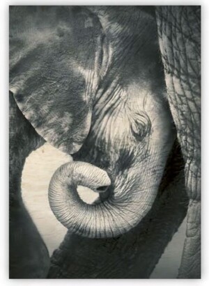 Holzbild Kleiner Elefant - Reklamnepredmety