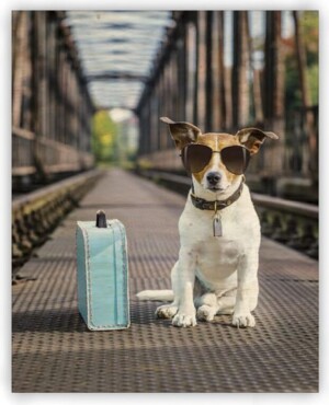 Drevený obraz Dog - Reklamnepredmety