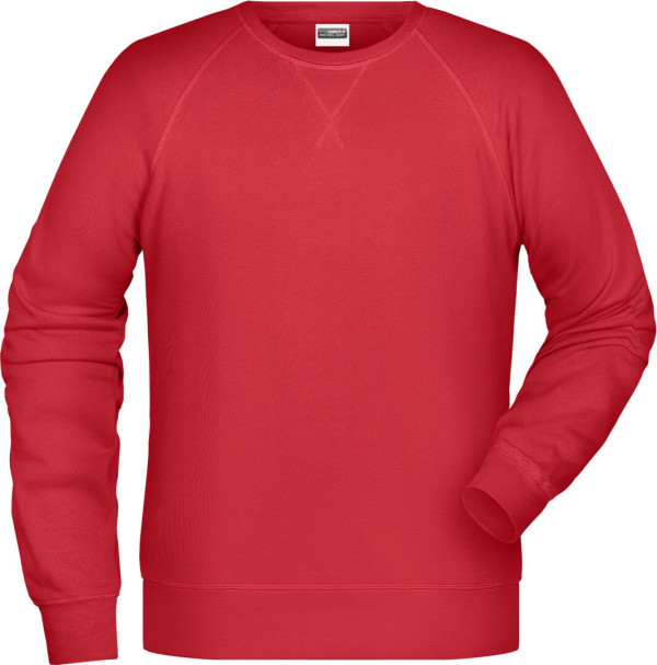 Herren Raglan Sweater