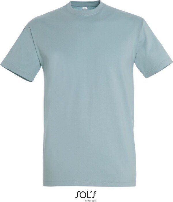 Heavy T-Shirt