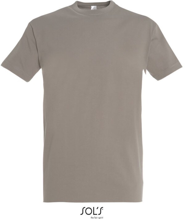 Heavy T-Shirt