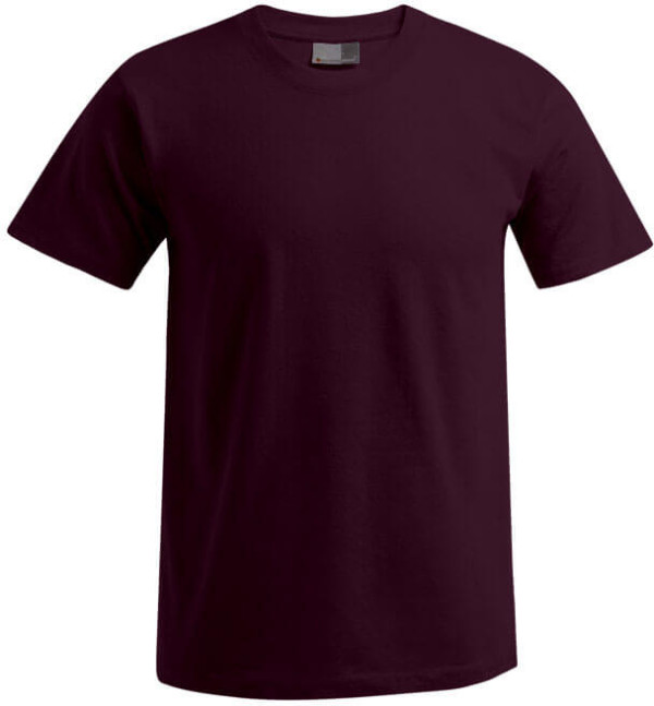 Herren Premium T-Shirt