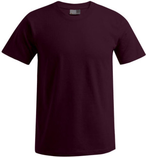 Herren Premium T-Shirt - Reklamnepredmety