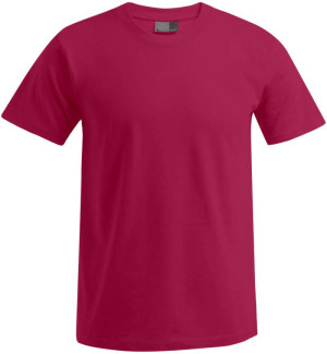 Herren Premium T-Shirt - Reklamnepredmety