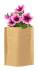 Sober - ap721479-00_65e4sb4b - variant Ap 721479-00