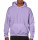 Heavy Blend Hooded Sweat
