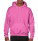 Heavy Blend Hooded Sweat