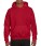 DryBlend Adult Hooded Sweat - 276-09-400-f-2017-01jpg-l - variant 