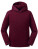 Z265K Kids Authentic Hooded Sweat - Z265K_Burgundy - variant Ls 1000294907