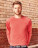 Men`s HD Raglan Sweat - 221-00-417 - variant Fr 221004172